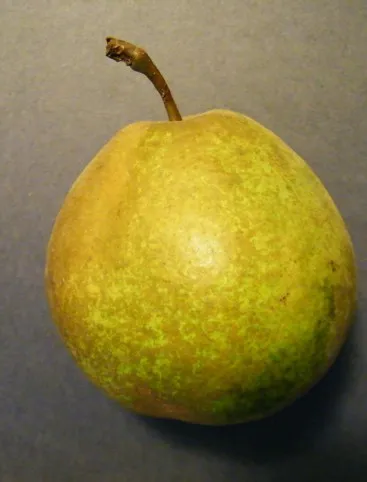 платоновская