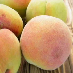 ДОНЕЦКИЙ ЖЕЛТЫЙ