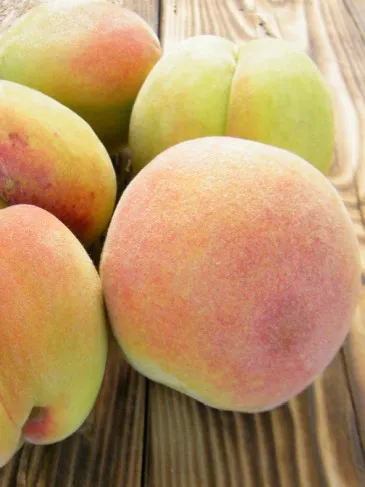 ДОНЕЦКИЙ ЖЕЛТЫЙ