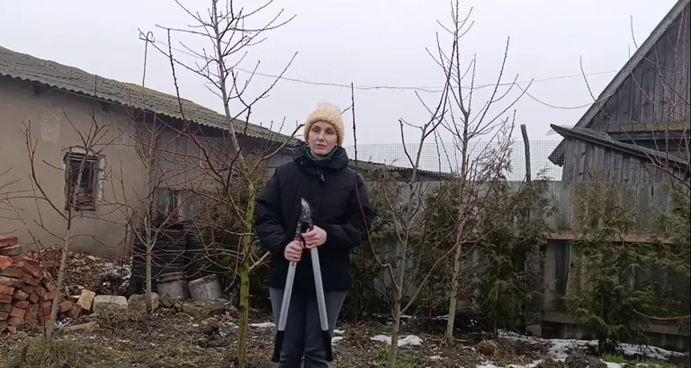 Осенняя подкормка растений